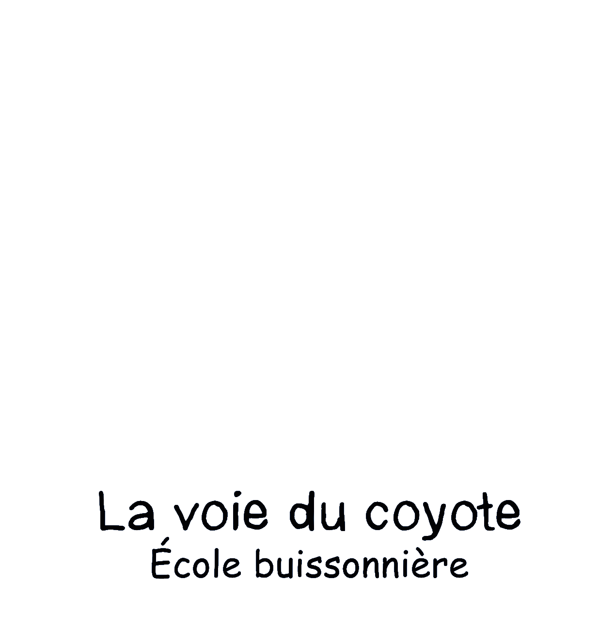 La Voie du Coyote